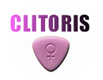 clitoris womens health